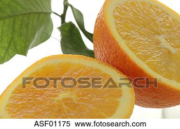 Banco de Imagem - laranja,  metades, 
 close-up. fotosearch 
- busca de fotos, 
imagens e clipart