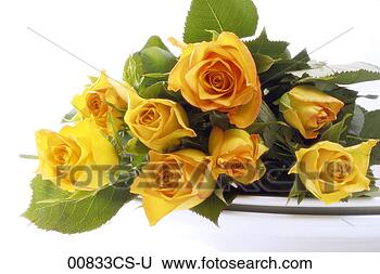 Stock Photo - bouquet of yellow 
roses. fotosearch 
- search stock 
photos, pictures, 
images, and photo 
clipart