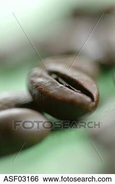 Banco de Imagem - assado,  café, 
 feijões,  close-up. 
fotosearch - busca 
de fotos, imagens 
e clipart