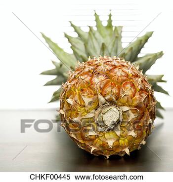 Banco de Imagem - abacaxi,  close-up. 
fotosearch - busca 
de fotos, imagens 
e clipart