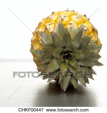 Foto - abacaxi,  close-up. 
fotosearch - busca 
de fotos, imagens 
e clipart