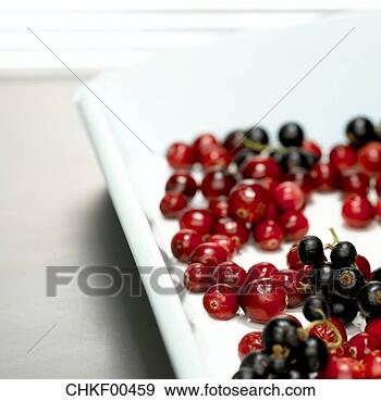 Arquivo Fotográficos - arandos vermelhos, 
 bandeja,  close-up. 
fotosearch - busca 
de fotos, imagens 
e clipart