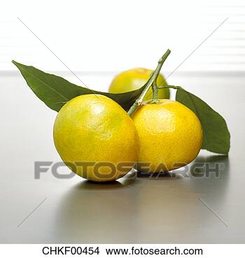 Banco de Imagem - clementines,  
close-up. fotosearch 
- busca de fotos, 
imagens e clipart
