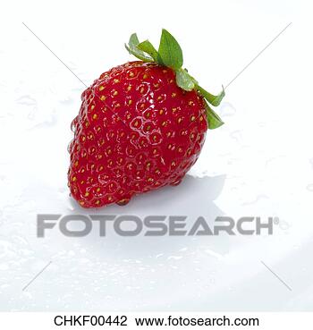 Banco de Imagem - fresco,  moranguinho, 
 close-up. fotosearch 
- busca de fotos, 
imagens e clipart