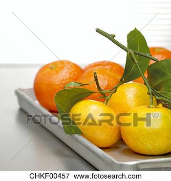 Foto - tangerines,  bandeja, 
 close-up. fotosearch 
- busca de fotos, 
imagens e clipart