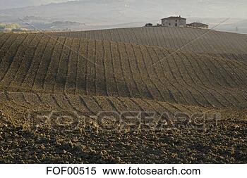 Banco de Imagem - itália,  tuscany, 
 fazenda,  predios. 
fotosearch - busca 
de fotos, imagens 
e clipart