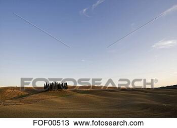 Banco de Imagem - itália,  tuscany, 
 paisagem. fotosearch 
- busca de fotos, 
imagens e clipart