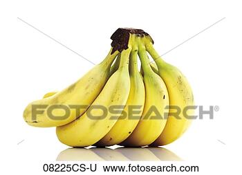 Banco de Imagem - grupo,  bananas. 
fotosearch - busca 
de fotos, imagens 
e clipart
