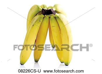 Banco de Imagem - grupo,  bananas. 
fotosearch - busca 
de fotos, imagens 
e clipart
