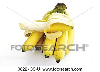 Banco de Imagem - grupo,  bananas. 
fotosearch - busca 
de fotos, imagens 
e clipart