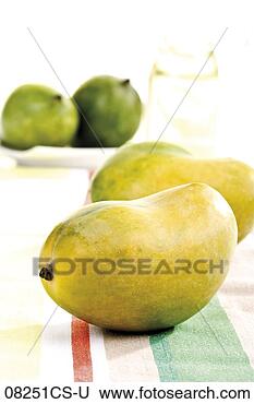 Banco de Imagem - mangos. fotosearch 
- busca de fotos, 
imagens e clipart