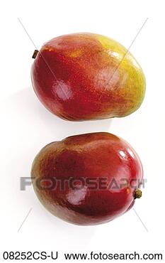 Banco de Imagem - mangos. fotosearch 
- busca de fotos, 
imagens e clipart