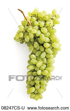 Banco de Imagem - verde,  uvas. 
fotosearch - busca 
de fotos, imagens 
e clipart