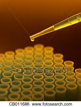 Stock Photo - dropper filling 
vials with liquid. 
fotosearch - search 
stock photos, 
pictures, images, 
and photo clipart