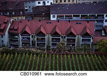 Stock Photography - vineyards next 
to apartments 
in wurzburg. fotosearch 
- search stock 
photos, pictures, 
images, and photo 
clipart