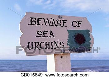 Stock Photograph - beware of sea 
urchins sign. 
fotosearch - search 
stock photos, 
pictures, images, 
and photo clipart