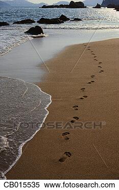 Stock Image - footprints in 
the sand. fotosearch 
- search stock 
photos, pictures, 
images, and photo 
clipart