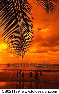 Stock Photograph - friends on beach 
and tropical sunset. 
fotosearch - search 
stock photos, 
pictures, images, 
and photo clipart