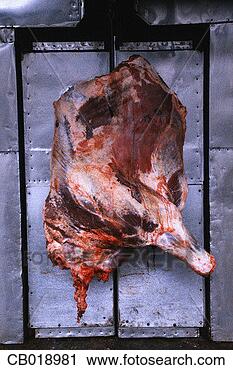 Stock Photography - raw meat hanging 
in a meat locker. 
fotosearch - search 
stock photos, 
pictures, images, 
and photo clipart