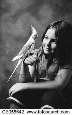 Stock Photo - cockatiel perching 
on girl's hand. 
fotosearch - search 
stock photos, 
pictures, images, 
and photo clipart