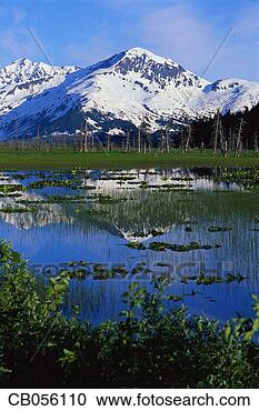 Stock Photography - snow covered mountain 
by water in alaska. 
fotosearch - search 
stock photos, 
pictures, images, 
and photo clipart