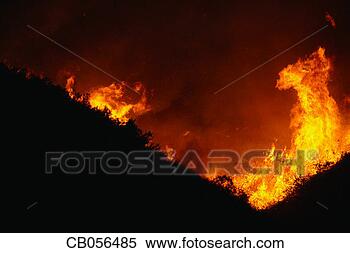 Stock Image - harmony grove 
wildfire. fotosearch 
- search stock 
photos, pictures, 
images, and photo 
clipart