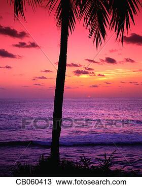 Stock Photo - sunset on barbadian 
beach. fotosearch 
- search stock 
photos, pictures, 
images, and photo 
clipart