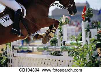 Stock Photo - horse and rider 
jumping over obstacle. 
fotosearch - search 
stock photos, 
pictures, images, 
and photo clipart
