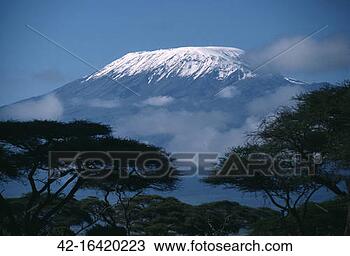 Stock Photo - kilimanjaro and 
acacia trees. 
fotosearch - search 
stock photos, 
pictures, images, 
and photo clipart
