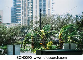Stock Photography - hurricane andrew 
blows through 
city. fotosearch 
- search stock 
photos, pictures, 
images, and photo 
clipart