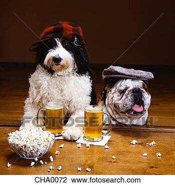 Zapping du net :) - Page 2 Chiens-avoir-biere_~CHA0072