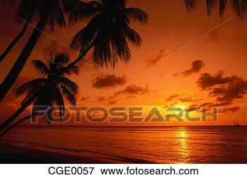 Picture - sunset along tobago. 
fotosearch - search 
stock photos, 
pictures, images, 
and photo clipart