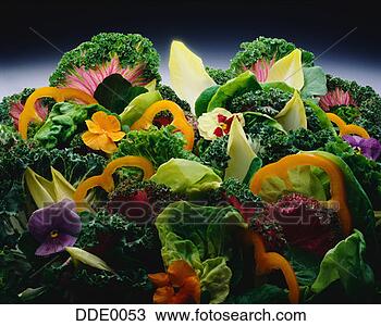 Stock Photo - vegetable and 
flower salad. 
fotosearch - search 
stock photos, 
pictures, images, 
and photo clipart