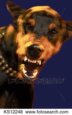 Stock Illustration - business impacts, 
 ad concepts, 
 animal,  business, 
 business. fotosearch 
- search clipart, 
illustration, 
drawings and vector 
eps graphics images