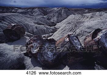 Stock Photo - petrified wood 
in petrified forest 
national park. 
fotosearch - search 
stock photos, 
pictures, images, 
and photo clipart