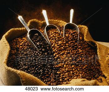 Stock Photo - coffee beans. 
fotosearch - search 
stock photos, 
pictures, images, 
and photo clipart