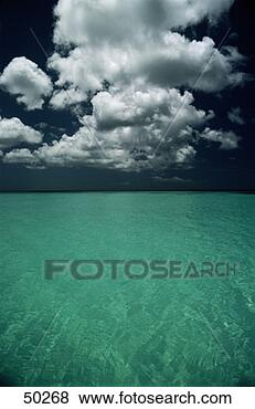 Stock Photo - calm, clear  waters 
of the caribbean 
sea. fotosearch 
- search stock 
photos, pictures, 
images, and photo 
clipart