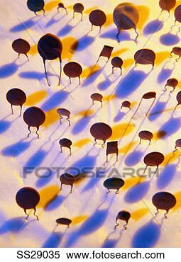 Stock Illustration - brown, center, 
closeup, electric 
color, interior, 
resistor. fotosearch 
- search clipart, 
illustration, 
drawings and vector 
eps graphics images