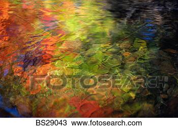 Stock Photo - autumn leaves 
reflected in a 
stream. fotosearch 
- search stock 
photos, pictures, 
images, and photo 
clipart