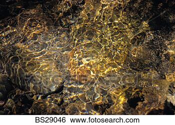 Stock Photo - close-up of a 
stream. fotosearch 
- search stock 
photos, pictures, 
images, and photo 
clipart