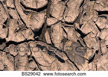 Stock Photo - cracked mud. fotosearch 
- search stock 
photos, pictures, 
images, and photo 
clipart