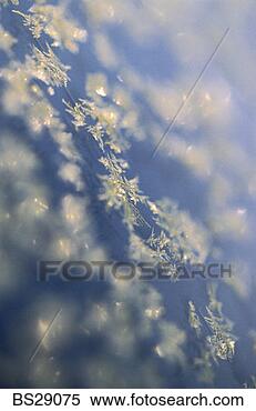 Stock Image - ice crystals. 
fotosearch - search 
stock photos, 
pictures, images, 
and photo clipart