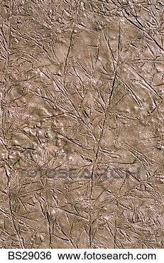 Stock Photo - imprint of twigs 
and needles in 
mud. fotosearch 
- search stock 
photos, pictures, 
images, and photo 
clipart