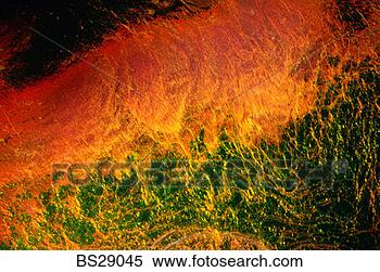 Stock Image - liquid crystal. 
fotosearch - search 
stock photos, 
pictures, images, 
and photo clipart