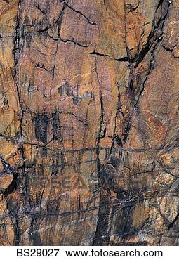 Picture - rock wall. fotosearch 
- search stock 
photos, pictures, 
images, and photo 
clipart