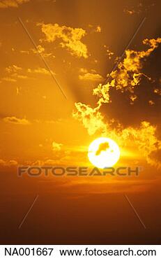 Picture - yellow sky. fotosearch 
- search stock 
photos, pictures, 
images, and photo 
clipart