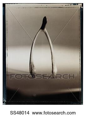 Stock Photo - wishbone. fotosearch 
- search stock 
photos, pictures, 
images, and photo 
clipart