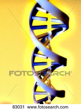 Stock Photography - double helix. 
fotosearch - search 
stock photos, 
pictures, images, 
and photo clipart