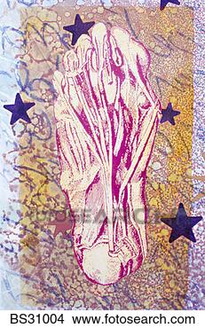 Stock Photo - medical illustration 
of a human foot 
amid stars. fotosearch 
- search stock 
photos, pictures, 
images, and photo 
clipart
