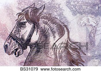 Stock Photograph - monoprint of a 
horse's head. 
fotosearch - search 
stock photos, 
pictures, images, 
and photo clipart